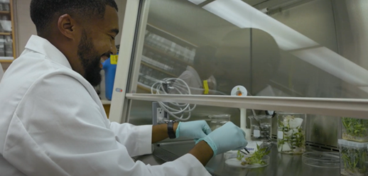 In a Growth Pattern: Cultivating a Ph.D.